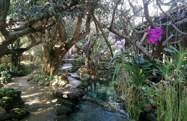 Visit Dantewada(Angel Land), Blue Temple, and Sticky Waterfall