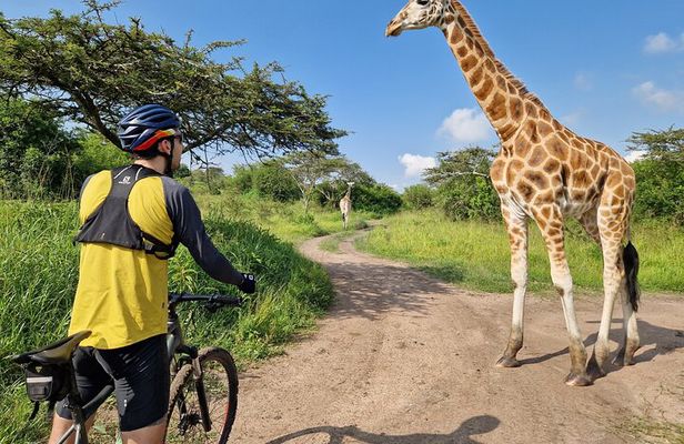 2 Days Cycling Safari To Lake Mburo National Park
