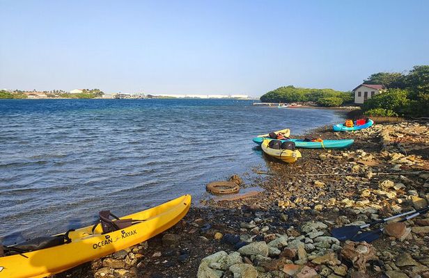 Kayak Tour to Seaglass Island