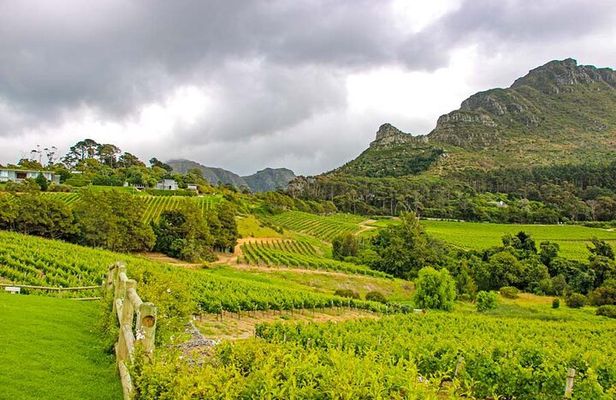 Full Day Paarl Franschhoek & Stellenbosch Private Wine Tour