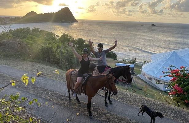 2 Hour Horseback Riding Sunset Tour with Dore's Riding Stable