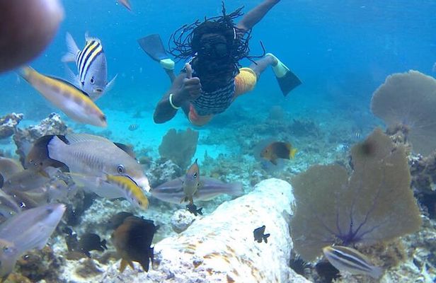Incredible Negril Guided Snorkeling To Reef, Anchor, and Cannon