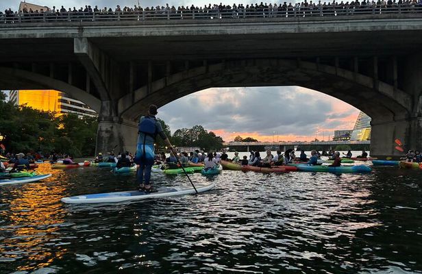 Congress Avenue Bat Bridge Paddleboard Tour