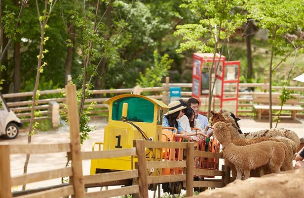 Nami+Alpaca+Garden of Morning Calm (+Rail Bike Option)