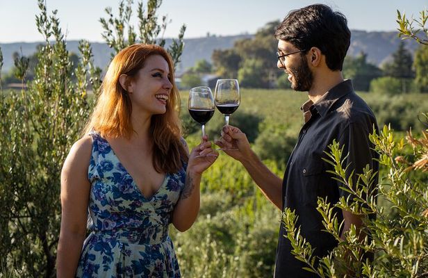 Ultimate Maipú Adventure: Winery Tour & Gourmet Lunch