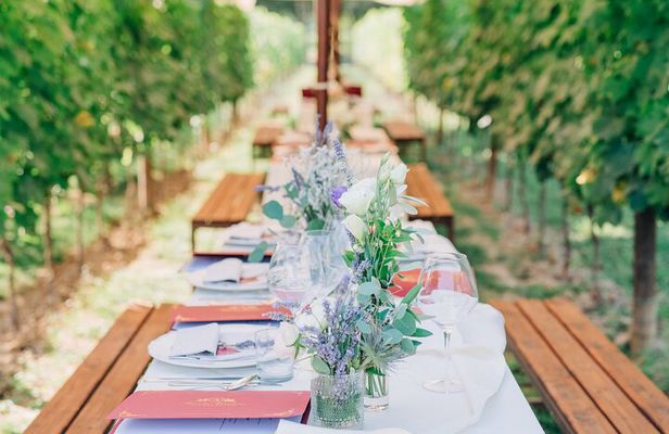 Romantic Lunch in the Vine Rows in Tuscany