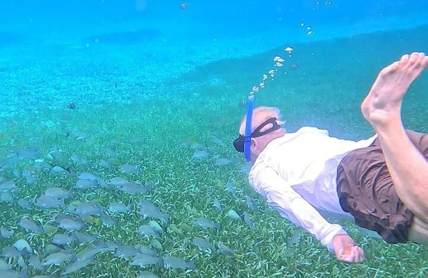 Shared Snorkel Tour In Cozumel