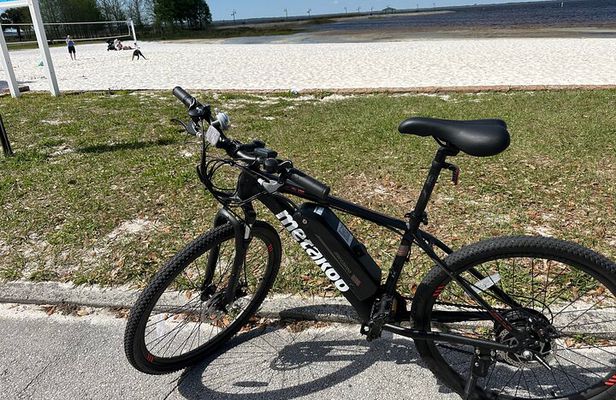 Experience Wild Florida Nature Up Close on Electric Bike (2 hrs.)