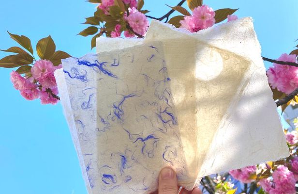Authentic Handmade Washi Paper Making Workshop in Ueno