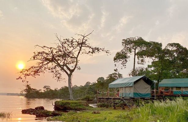 3 Day Eco Camping Tour Uganda: Hikes, Birdwatching & Chimpanzees.
