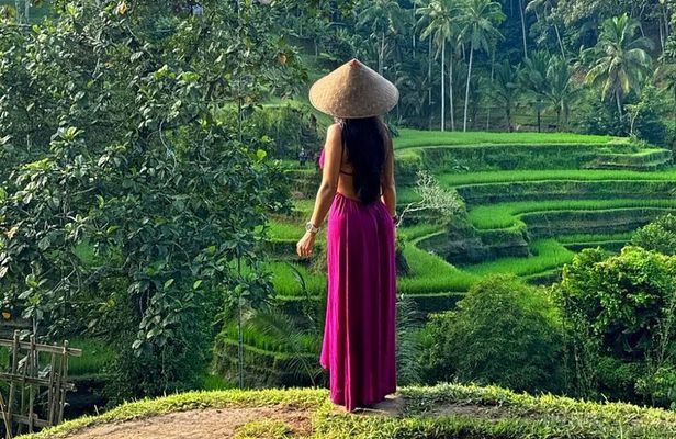 Ubud Guided Tour Monkey Forest, Waterfall, Temple & Rice Terrace.