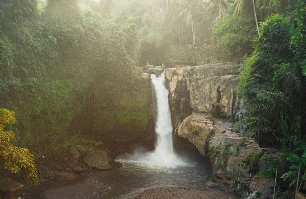 Ubud: Waterfalls, Rice Terraces & Cultural Delights