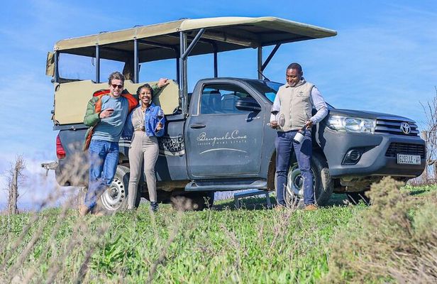 Private Family Vineyard Safari and Wine Tasting