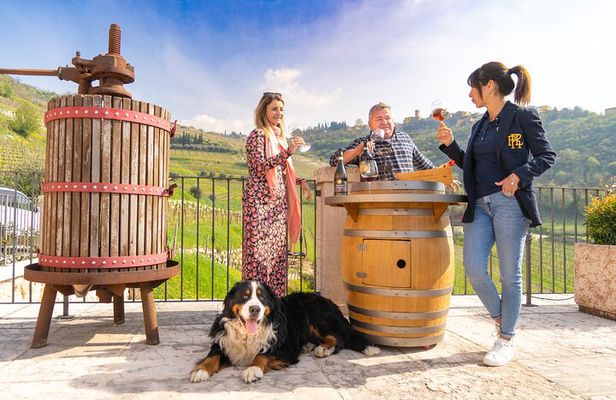The Grand tour of Valpolicella: 2 Wineries, Lunch & Amarone focus