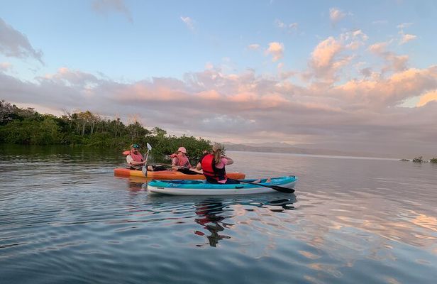 Kayak experience on Playa Blanca in Puerto Jiménez