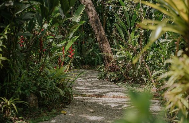 Villa Vanilla: The Original Rainforest Spice Tour