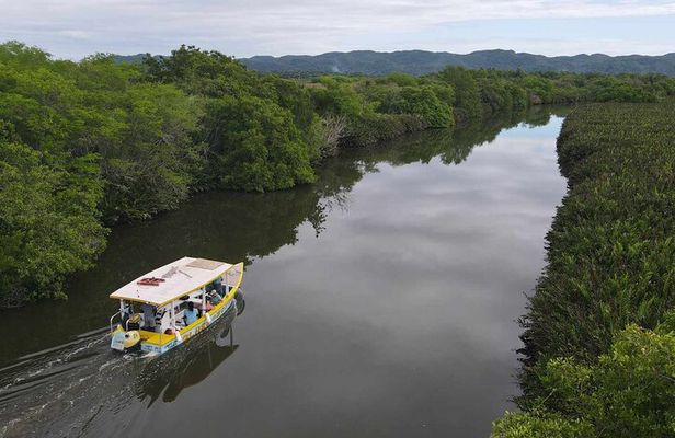 Scenic & Historical Nature Boat Safari Up the Negril River