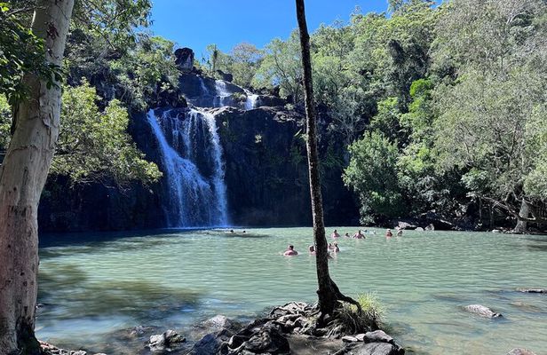 Airlie Beach: Sightseeing Bus Tour (Cruise-Ship Friendly)
