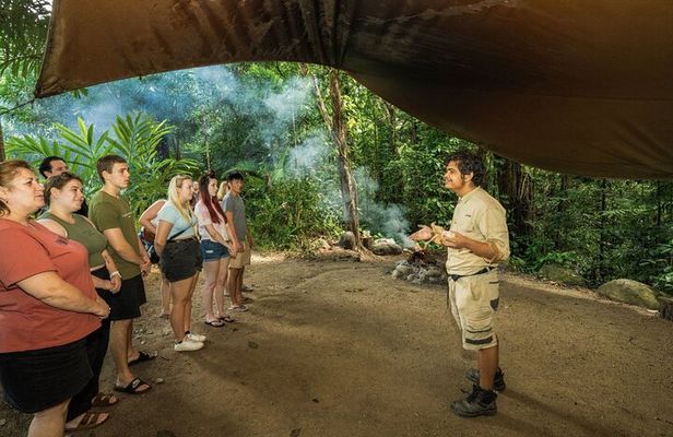 Daintree, Mossman Gorge and Wildlife Tour from Cairns