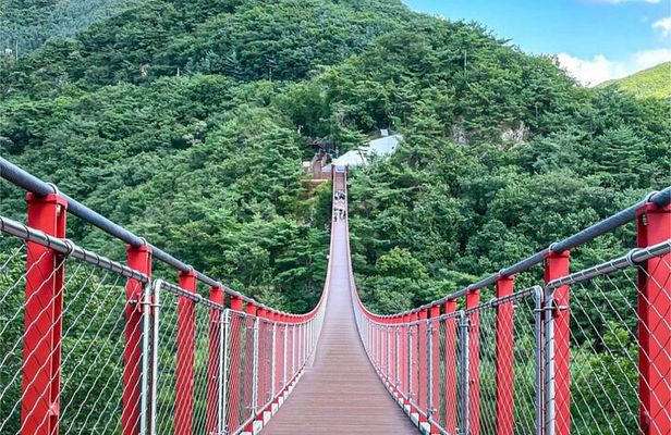 Seoul City Highlights Tour: Hanok Village, Scenic Routes