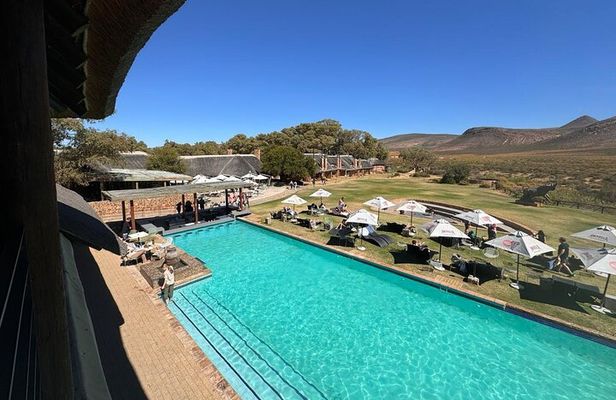 Private Tour to Aquila Game Reserve in Cape Town - see the Big5