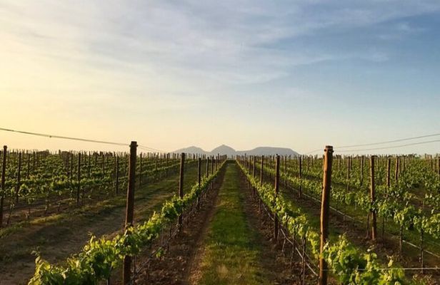 Costa Brava Coves Towns and Winery Private Tour