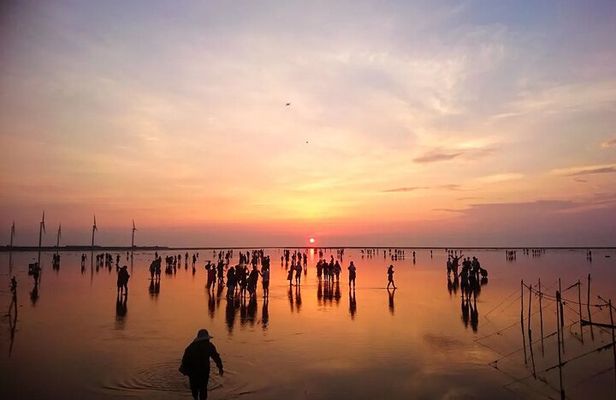 Taichung City Landmarks and Gaomei Wetlands Day Tour from Taipei