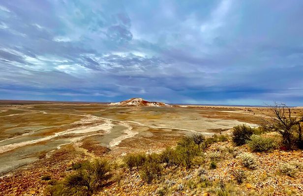 Full day The Painted Desert Tour in Outback South Australia