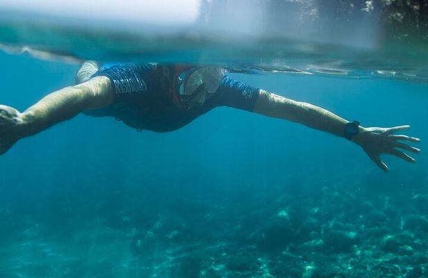 Marine Biology & Snorkelling Experience in the Cinque Terre
