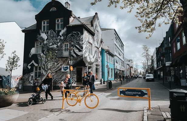 Private Reykjavik Street Art Walking Tour - The Instagram Tour