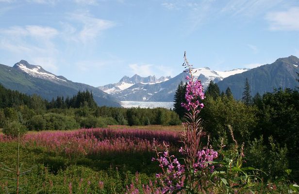 Juneau City Tour