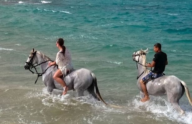 Hurghada: Arabian Desert and Sea Horseback Adventure