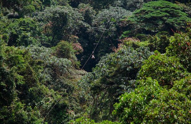 Sky Trek and Sky Tram Activity