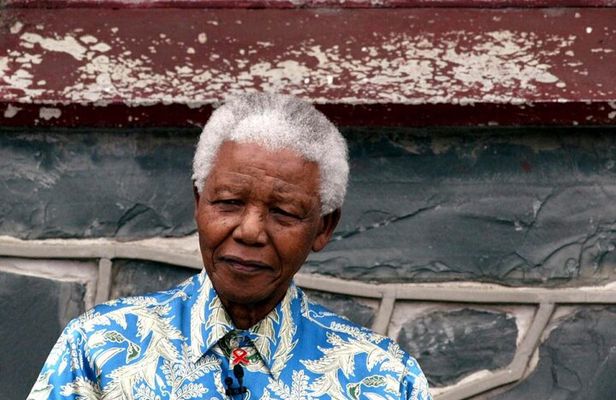 Full Day Tour Robben Island, Penguin , and Cape of Good Hope