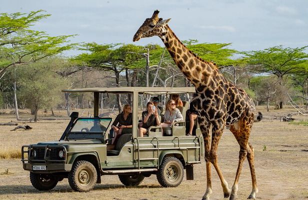 2 Day Nyerere National Park Wildlife Safari from Zanzibar