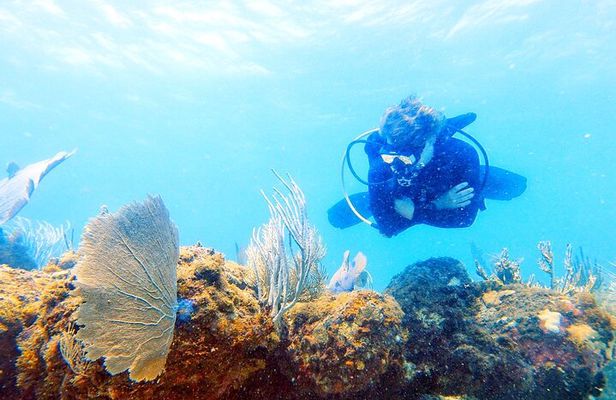 Island Wreck and Reef Scuba Excursion