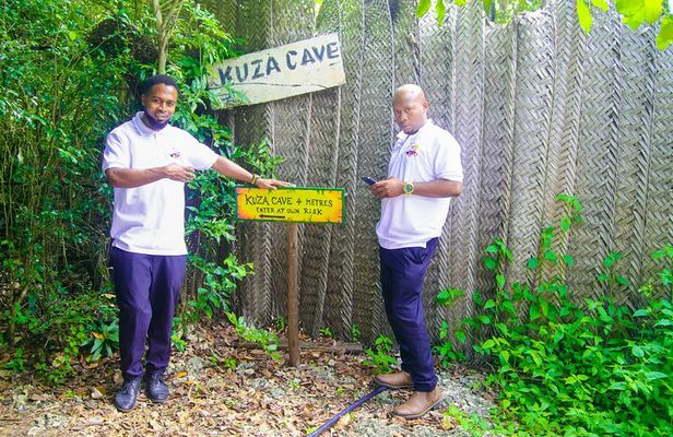 Dolphin Tour Jozan Forest, Kuza Cave, Paje Becach &The Restaurent