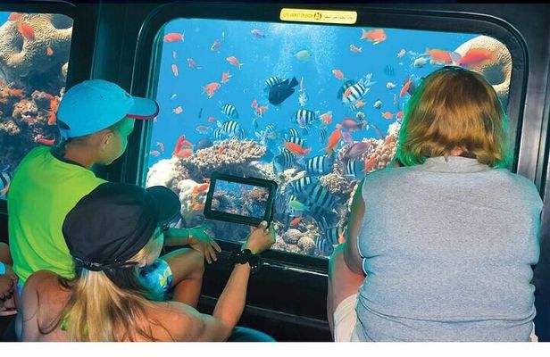 2-Hour Sea Scope Cruise With Transfer - Sharm El Sheikh