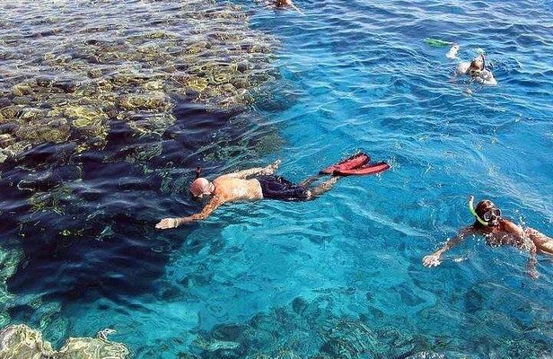 Marsa Mubarak Snorkeling – Transfers & Lunch Included!