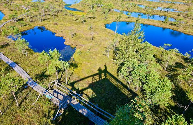 Ķemeri Great Bog Discovery With Optional Sunrise & Jūrmala Visit