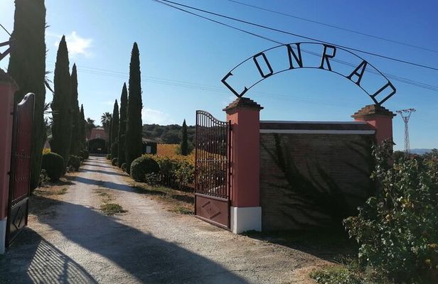 Conrad Guided Cellar Tour and wine tasting in Ronda