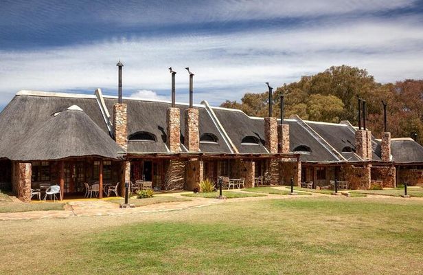 Safari Game Drive, Lunch & Transfers from Cape Town