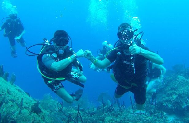 Catalina Island Diving Experience from Punta Cana