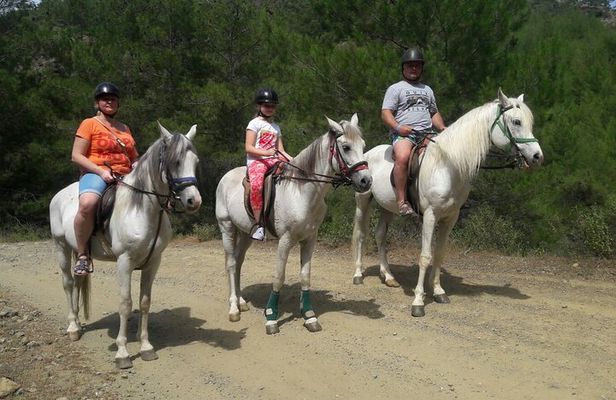 Horse Riding in Antalya,Belek,Lara Beach(Sunrise,Sunset,Day Time)