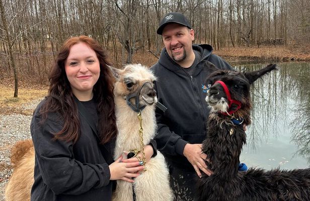 Hike & Lunch with Llamas