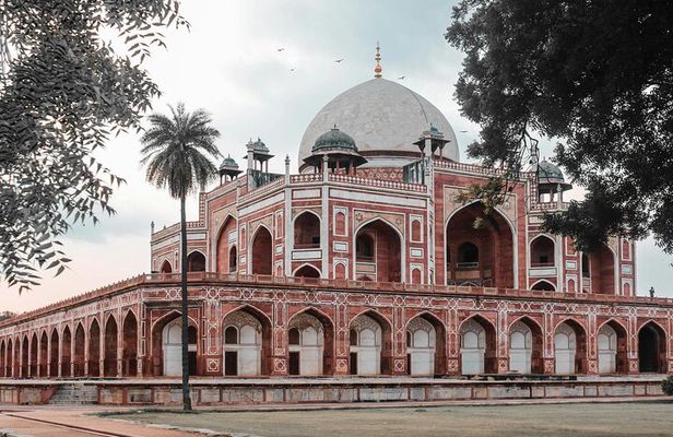 Delhi: Old & New Delhi Full or Half Day Tour