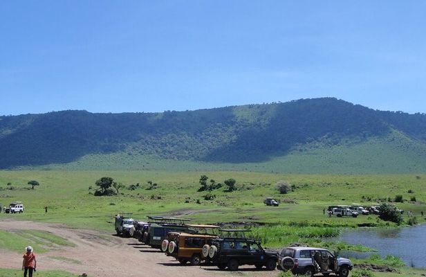 Private Ngorongoro Crater Day Trip Safari from Arusha