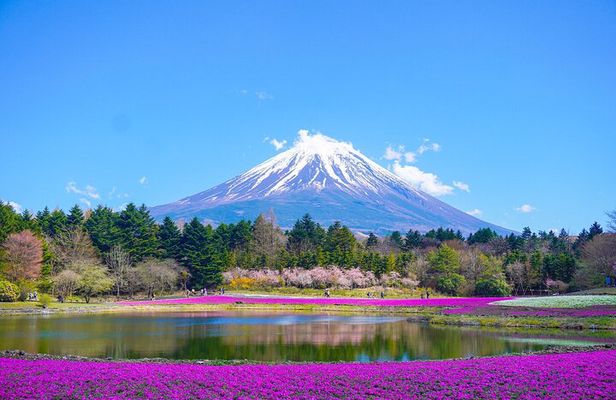 From Tokyo Mt. Fuji and Hakone Sightseeing Private Day Trip