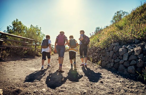 Naples: Tour of Mt Vesuvius and Pompeii w/ Lunch & Wine tasting