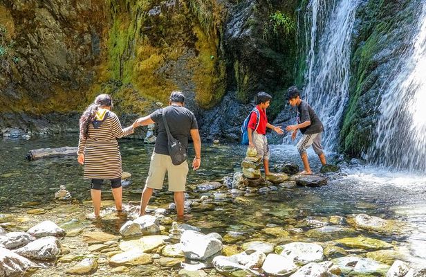 Half Day Tour to Faery Waterfalls, Castle Lake and Mount Shasta